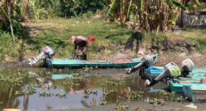 ¡Nos pescan nada! Pescadores están en problemas por baja de agua en sistema lagunario