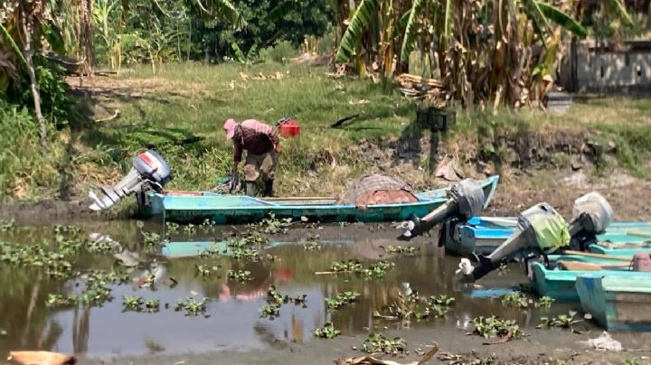 ¡Nos pescan nada! Pescadores están en problemas por baja de agua en sistema lagunario