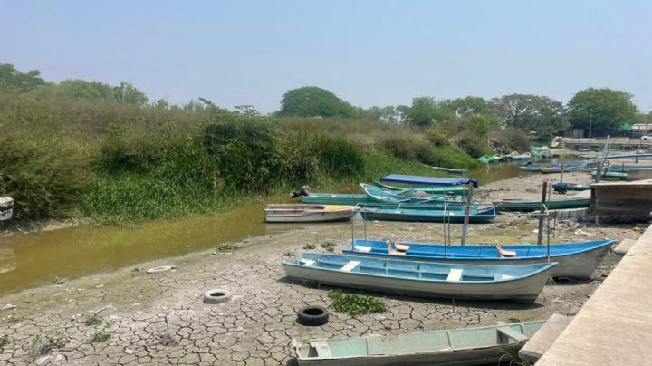 Crisis hídrica en Tampico: 'solo un huracán podría solucionar el daño', dice pescador