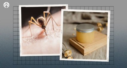 Receta para hacer una pomada casera contra los piquetes de mosquitos y otros bichos