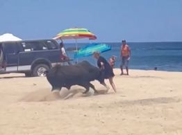 (VIDEO) Toro embiste a una mujer en playa de Los Cabos