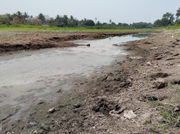 Laguna Tarimoya se seca en Veracruz; terreno luce agrietado y con peces muertos