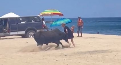 (VIDEO) Toro embiste a una mujer en playa de Los Cabos