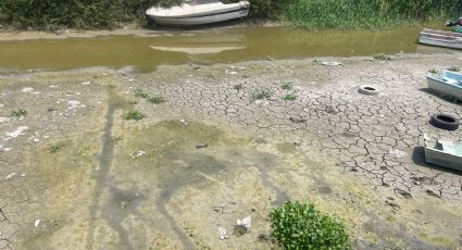 Tampico necesita una planta tratadora de aguas residuales; comenta ambientalista de la zona