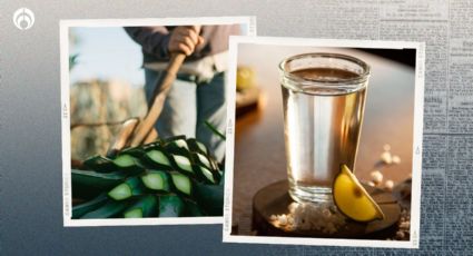 Estos son los tequilas 100% de agave más baratos y con 'palomita' de Profeco