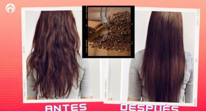 Truco para hacer aceite de linaza casero y tener un cabello largo, sedoso y brillante