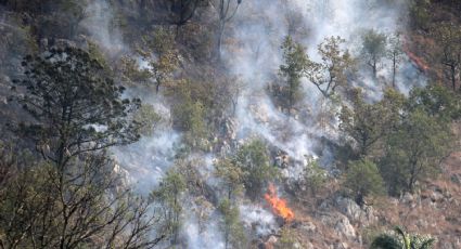 Incendio en Veracruz: autoridades y voluntarios continúan sofocando siniestro en Río Blanco