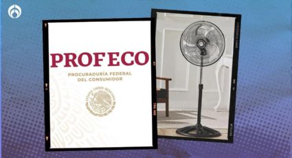 Este es el ventilador más potente, barato y que casi no gasta luz, según Profeco