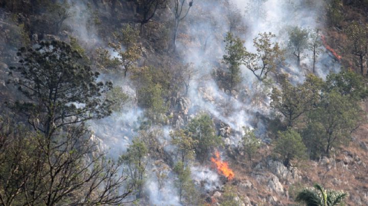 Incendio en Veracruz: autoridades y voluntarios continúan sofocando siniestro en Río Blanco