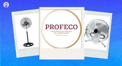 Este es el mejor ventilador de 3 posiciones y el más barato, según Profeco