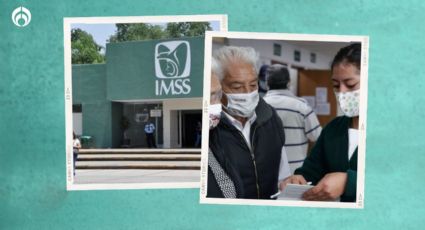 Baja Modalidad 40: por estos motivos podrías perder tu pensión en el IMSS