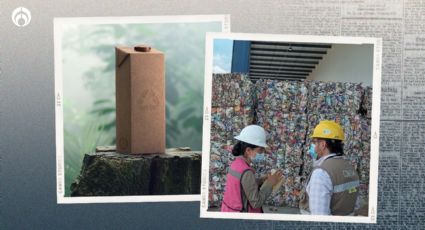 Día Mundial del Reciclaje: ¿Cómo contribuyen las empresas a esta iniciativa?