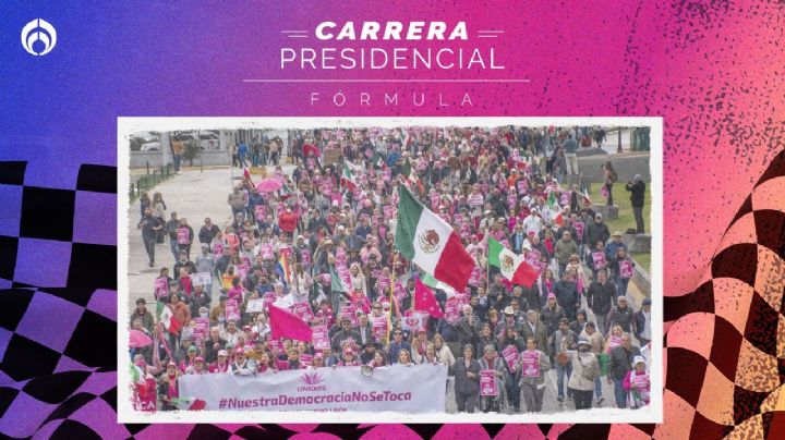 'Marea Rosa se financia con coperachas': Organizadores aceptan fiscalización del INE