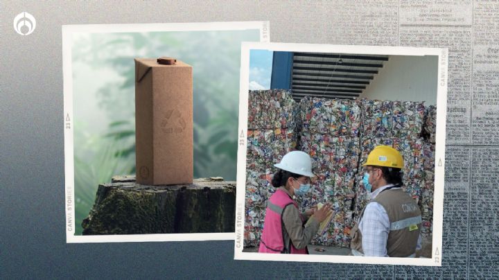 Día Mundial del Reciclaje: ¿Cómo contribuyen las empresas a esta iniciativa?