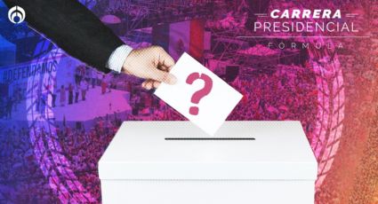 ¿La marcha 'Marea Rosa' influirá en la elección? Esto dicen analistas