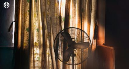 Walmart: Los 5 ventiladores que puedes conseguir por menos de 1,000 pesos para este calorón