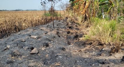 (VIDEO) Tristes imagenes deja incendio en reserva natural Arroyo Moreno en Veracruz