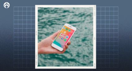 ¿En qué debes meter tu celular si se cae al agua? Spoiler: no es en arroz