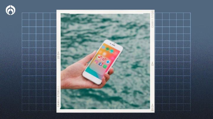 ¿En qué debes meter tu celular si se cae al agua? Spoiler: no es en arroz