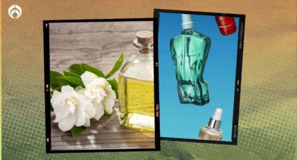 Perfume de gardenias: estas fragancias de Fraiche tienen ese aroma