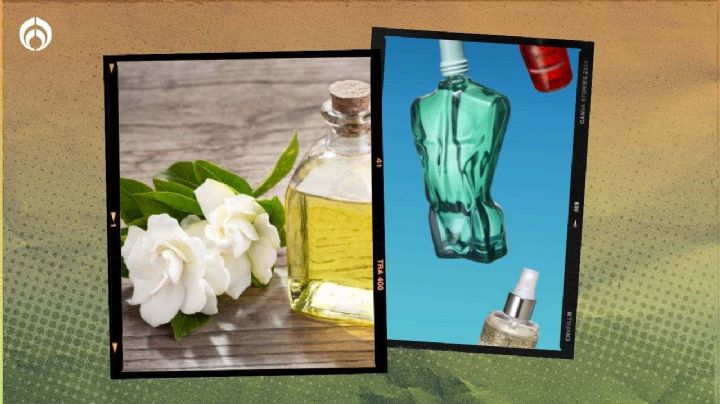 Perfume de gardenias: estas fragancias de Fraiche tienen ese aroma