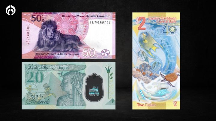 ¿De dónde son y cuánto valen los nuevos billetes más bonitos del mundo?