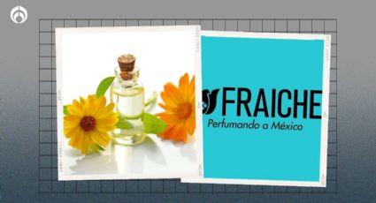 Fraiche: 5 perfumes con 'descuentón' por el Hot Sale 2024 y en tendencia por primavera