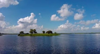 Ciudadanos invitan a realizar limpieza en la Laguna del Champayan en Altamira