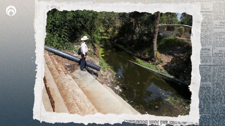 Xochimilco se 'marchita': así se 'evaporan' sus canales por falta de agua (FOTOS)