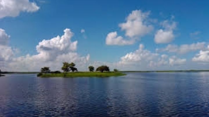 Ciudadanos invitan a realizar limpieza en la Laguna del Champayan en Altamira