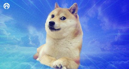 Kabosu, la bella historia de la Shiba Inu famosa por el meme de Dogecoin