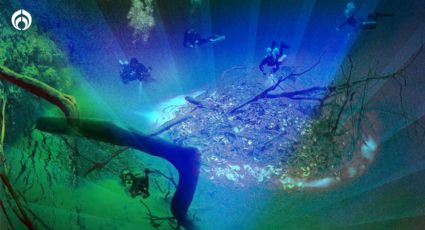 Narnia en Tulum: el bosque sumergido del Cenote Angelita, un viaje submarino a un mundo de fantasía