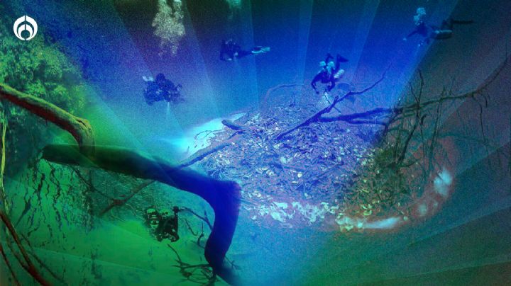 Narnia en Tulum: el bosque sumergido del Cenote Angelita, un viaje submarino a un mundo de fantasía