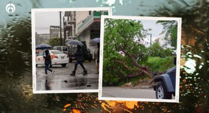 Clima hoy lunes 27 de mayo: tornados y chubascos 'asedian' a estos estados