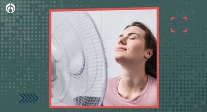 Este es el ventilador de marca mexicana más eficiente y barato, según Profeco