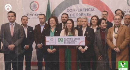 Partido Verde busca mejorar regulación en uso de células madre