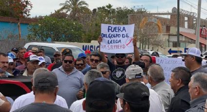 Pescadores temen de Sea Shepherd: alzan la voz por la tortuga caguama; no creen en la ONG