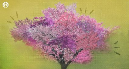 El único árbol con flores de colores que produce 40 frutas diferentes, ¡un arte viviente!