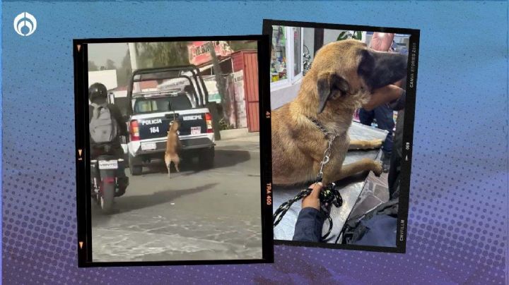 Exhiben a patrulla que arrastra a una perrita amarrada del cuello en Tizayuca, Hidalgo (VIDEO)