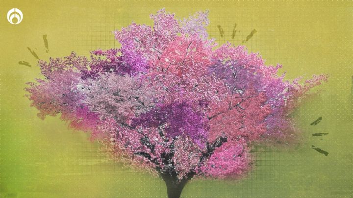 El único árbol con flores de colores que produce 40 frutas diferentes, ¡un arte viviente!