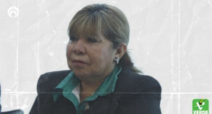 Claudia Sheinbaum tiene el mejor proyecto de nación: senadores PVEM