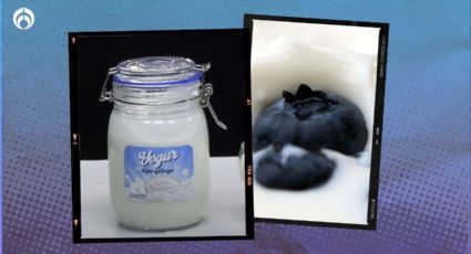 Trucazo de Profeco para preparar yogur griego en casa y con 4 ingredientes