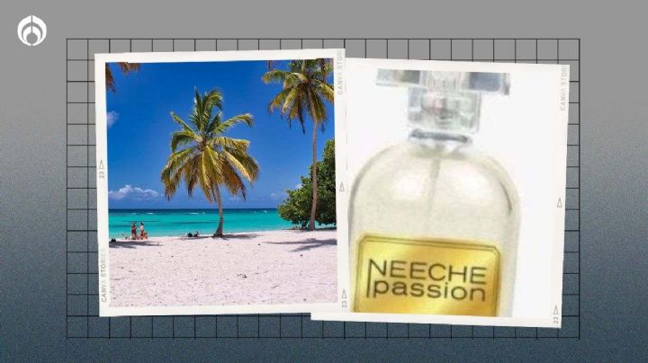 Fraiche: los perfumes de nicho más baratos de moda para el verano