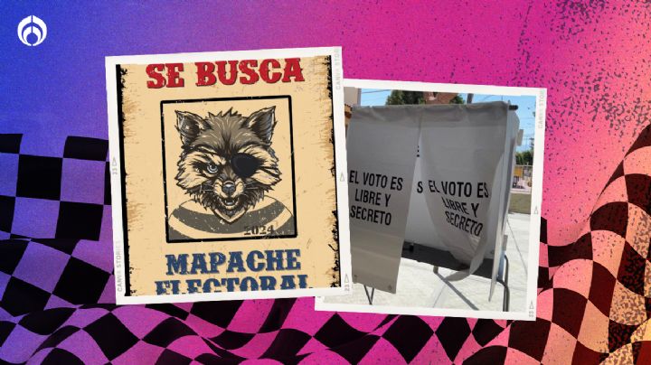 Elecciones 2024: ¿Qué es un mapache electoral? Así puedes denunciar si eres víctima o testigo de este delito