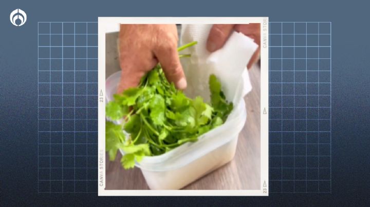 El truco para conservar el cilantro fresco hasta por 15 días