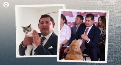 Armenta promete regular comercio animal en Puebla: 'No son mercancía ni juguetes'