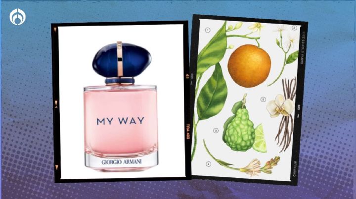 El perfume que huele igual a My Way de Giorgio Armani y puedes comprar en 600 pesos