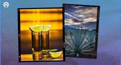 El tequila 100 por ciento de agave más barato y de mejor calidad, según Profeco