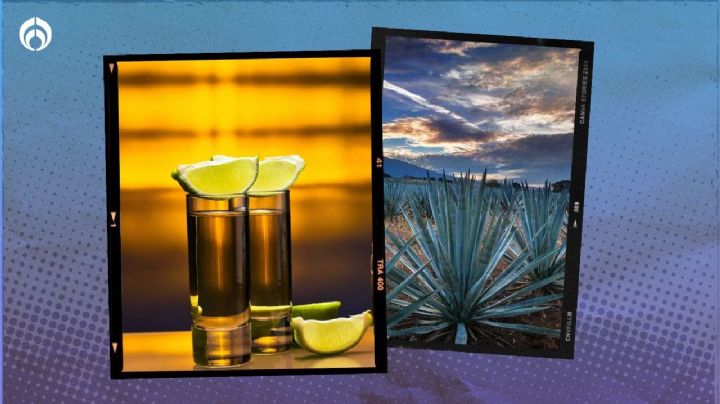 El tequila 100 por ciento de agave más barato y de mejor calidad, según Profeco