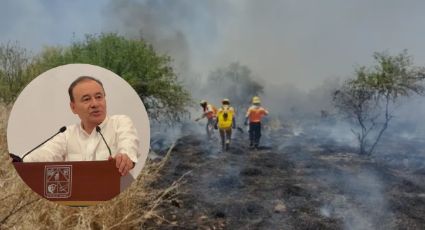 Militares y brigadistas forestales extinguen 32 incendios en lo que va del año en Sonora